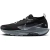 Image de Nike, Hommes, Baskets, Chaussures Pegasus Trail, Noir, (46)