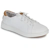 Image de Baskets basses HEYDUDE PAUL PRO CLASSIC homme