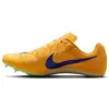 Image de Nike, Unisexe, Chaussures de course à pied, Rival Sprint (44.5), Jaune, Multicolore