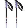 Image de Salomon Bâtons Steep Pro S3