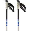 Image de Salomon Bâtons Steep Pro S3