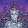 Image de Capitol Films, Disque vinyle, New Amerykah Part Two (Opaque Violet 2LP) (Erykah Badu)