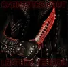 Image de Leather Terror