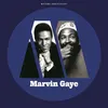 Image de Motown Anniversary : Marvin Gaye