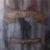 Image de Island, Disque vinyle, New Jersey (2LP Remastered) (Bon Jovi)