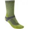 Image de Bridgedale Chaussettes Mid-season Weight T2 Merino Sport