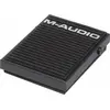 Image de M-Audio Sp-1 (Commande à pied), Enregistrement : accessoires