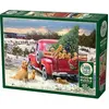 Image de Cobble Hill Puzzle 1000 pièces Family Outing (1000 pièces)