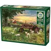 Image de Cobble Hill Puzzle 1000 pieces Field at Sunrise (1000 pièces)