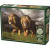 Image de Cobble Hill Puzzle 1000 pieces Approaching Storm (1000 pièces)