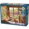 Image de Cobble Hill Puzzle 500 Fauler Morgen (500 pièces)