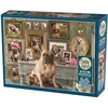 Image de Cobble Hill Französische Bulldogge 500 Teile (500 pièces)