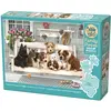 Image de Cobble Hill Puzzle 350 pieces XXL Pieces - Family - Porch Pals (350 pièces)