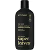 Image de Attitude, Shampoing, Men's 2-in-1 Volumizing Shampoo and Conditioner for Thin Hair (Shampoing liquide, 415 ml)