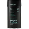 Image de Attitude, Déodorant, Natürliches Deodorant für Herren Super Leaves Eucalyptus & Sage (Deodorant) 75 g (Stick, 120 g)