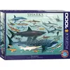 Image de Eurographics Requins (1000 pièces)