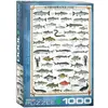 Image de Eurographics Poissons d'eau douce (1000 pièces)