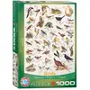 Image de Eurographics Oiseaux (1000 pièces)