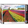 Image de Eurographics Champs de tulipes Pays-Bas (1000 pièces)