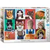 Image de Eurographics Des chats amusants (1000 pièces)