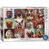 Image de Eurographics Drôles de chiens de Lucia Heffernan (1000 pièces)