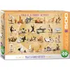 Image de Eurographics Le yoga est une activité familiale (500 pièces)