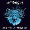 Image de Are You Shpongled ?