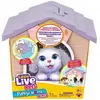 Image de Little Live Pets Puppy Home Surprise Mini rose (22.20 cm)