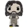 Image de Funko Harry Potter - Sirius Black Pin's