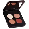 Image de YOUNGBLOOD Pressed Mineral Eyeshadow Quad Blush