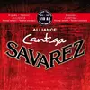 Image de Savarez 510 AR Alliance Cantiga NT (6 x, Guitare, 0.02"), Corde de guitare