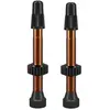 Image de Wtb Soupapes Tcs Aluminium