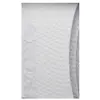 Image de Arundel Ruban De Guidon Gecko
