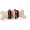Image de Sportdog Busy Buddy Bristle Bone (Petit) (Jouet à mâcher pour chiens), Jouets pour chien