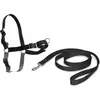Image de PetSafe Marche facile (XL, Chien, Promenade), Collier + laisse