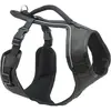 Image de PetSafe Easy Sport (S, Chien, Promenade), Collier + laisse