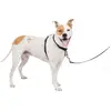 Image de PetSafe Dispositif de retenue et harnais 3 en 1 (M, Chien, Général, Promenade), Collier + laisse