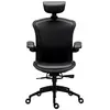 Image de Tesoro Alphaeon E5, Chaise gaming, Noir