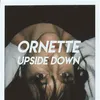 Image de Upside Down