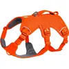 Image de Ruffwear Web Master (M, Chien, Général), Collier + laisse
