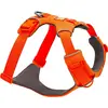 Image de Ruffwear Front Range Blaze Orange XS Hundegeschirr (XS, Chien), Collier + laisse