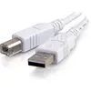 Image de C2G USB A   USB B (3 m, USB 2.0), Câble USB