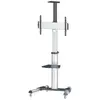 Image de Manhattan Support Tv 37-65´´ Max 50kg