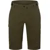 Image de Giro, Hommes, Pantalon de cyclisme, M Havoc Short (36), Vert