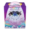 Image de Jeu électronique Hatchimal Draggle Alive Eclosion secrète
