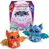 Image de Hatchimals EGG Big Egg Draggle Secret Hatch