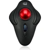 Image de Adesso iMouse T40 muis RF Draadloos Trackball 4800 DPI Ambidextrous