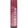 Image de Burt's Bees, Soin pour les lèvres, Baume à lèvres marguerite teinté 0,15 once (Stick de soin des lèvres, 4 g)