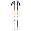 Image de Black Diamond Bâtons Traverse Pro