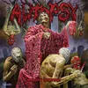 Image de Morbidity Triumphant